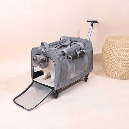 Travel Cat Carrier Summer Dog Pet Bag Foldable Cat Pet Box Breathable Portable Pet Trolley Case